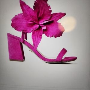 Cecelia New York shoes